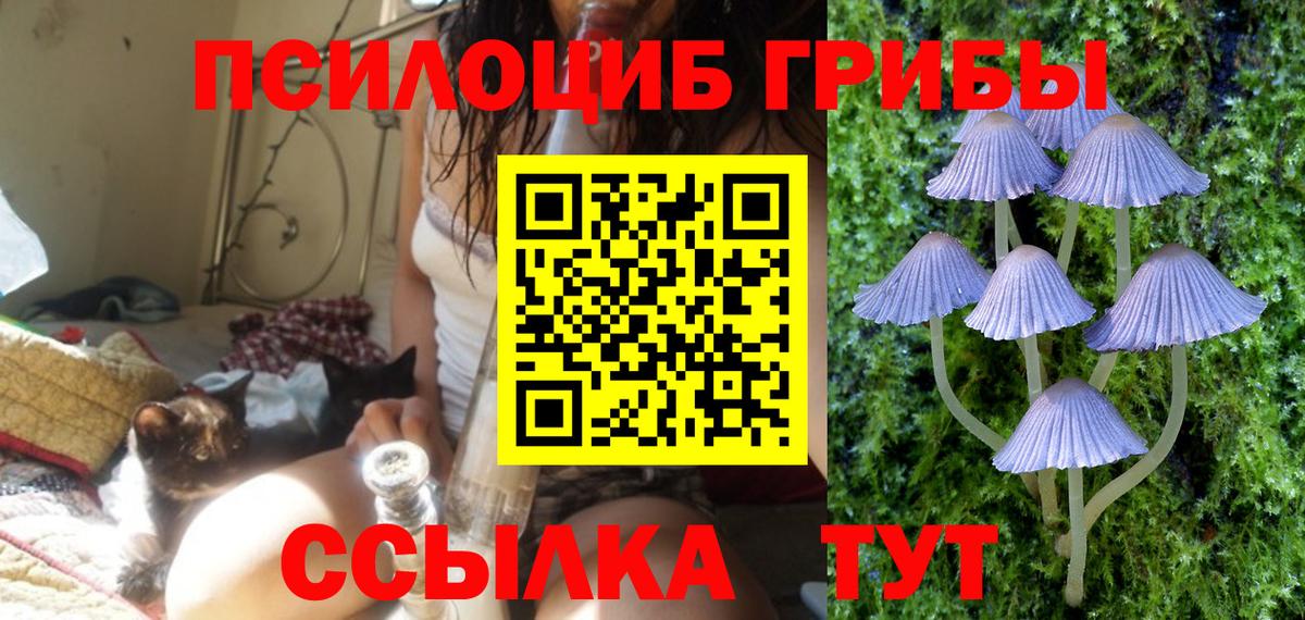 Асино  Галлюциногенные грибы ЛСД  Вход с VPN  Галлюциногенные грибы MAGIC MUSHROOMS 
