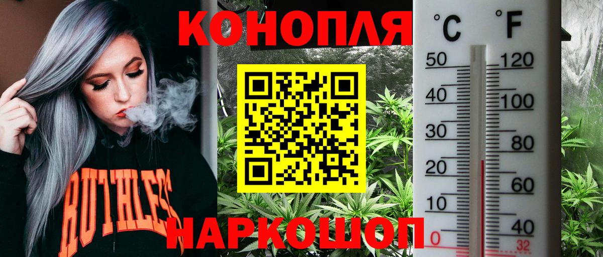 Марихуана гибрид Асино